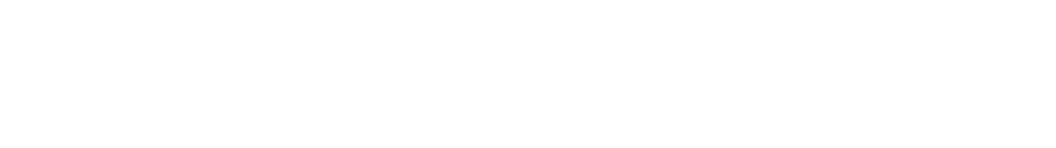 The Bouncing Souls EU Store